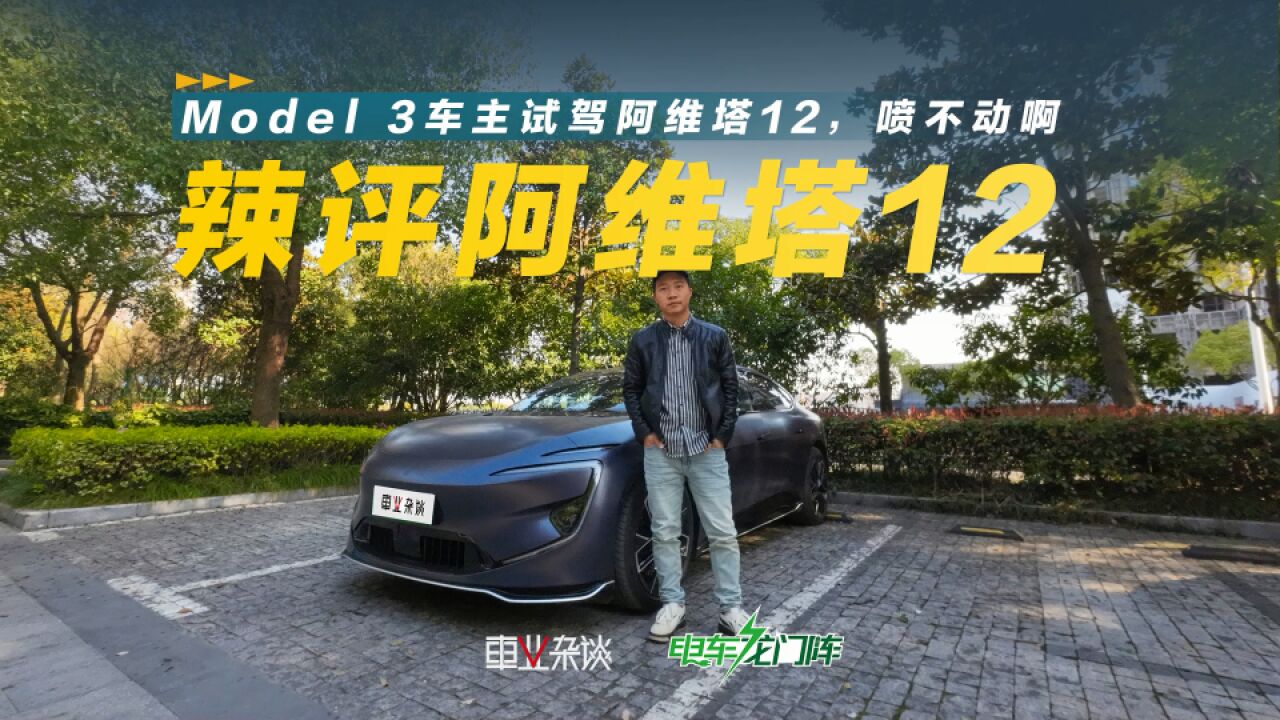 以标杆视角审视“新标杆”,Model 3车主辣评阿维塔12