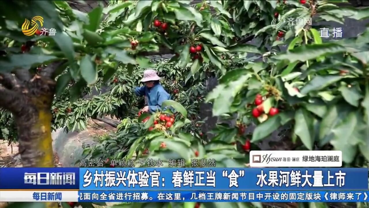 春鲜正当时!各地水果、河鲜等大量上市,成乡村振兴大产业