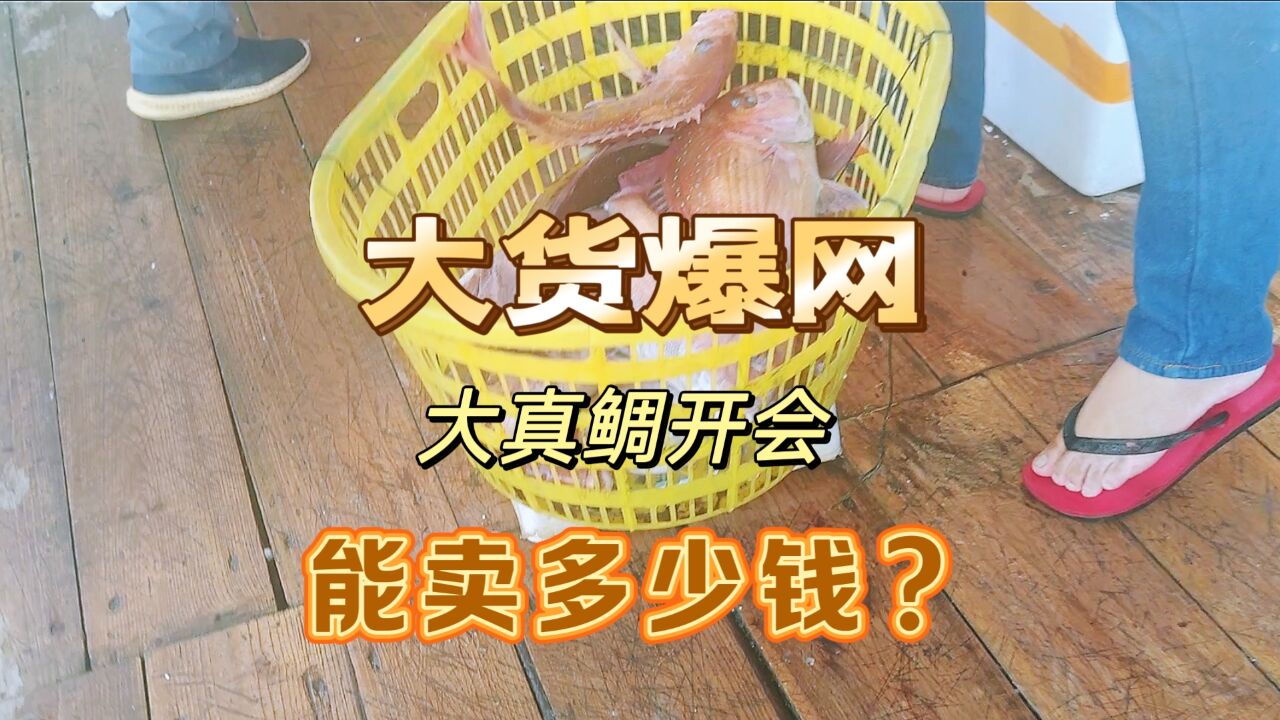 7000米渔网的最后一个网大货爆网,直接返航回去卖鱼,看能卖多少钱