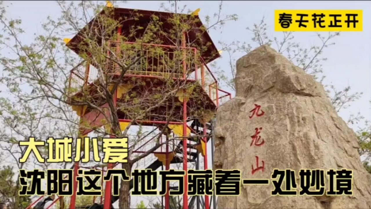 大城小爱,沈阳这个地方藏着一处妙境