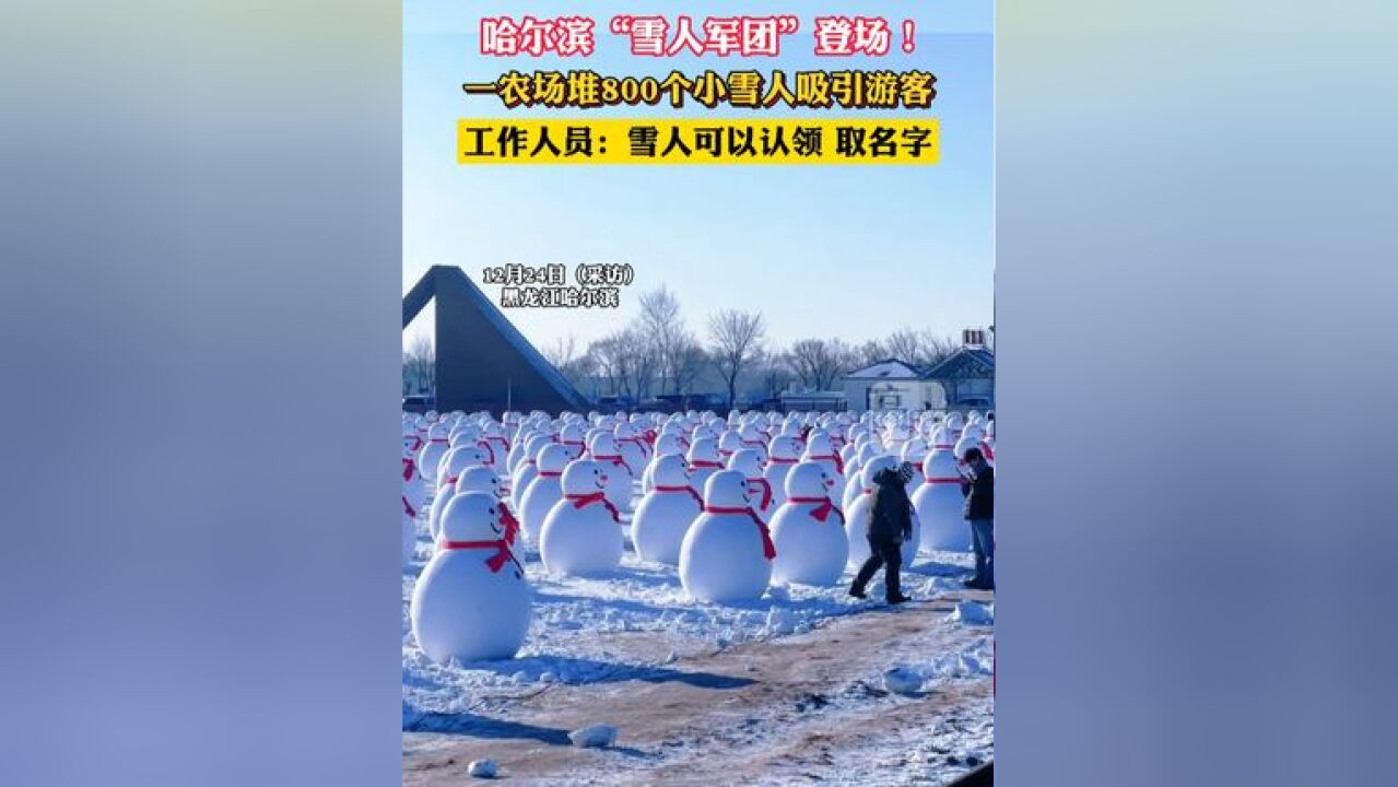 哈尔滨雪人军团登场!一农场堆800个小雪人吸引游客,工作人员:雪人可以认领、取名字