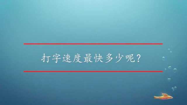 打字速度最快多少呢?