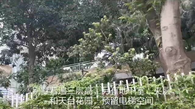 全新纯别墅单价3万+?就在广州番禺市桥,不过…