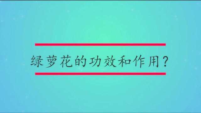 绿萝花的功效和作用?