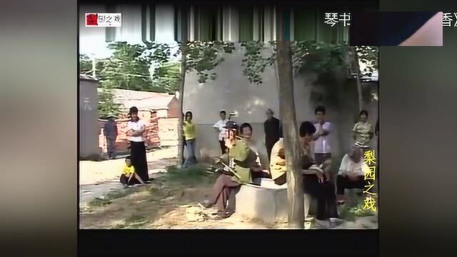 琴书《张万仓休丁香》 演员:丁延果