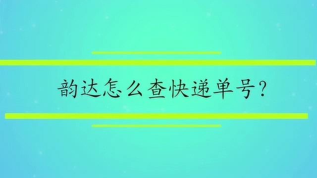 韵达怎么查快递单号?