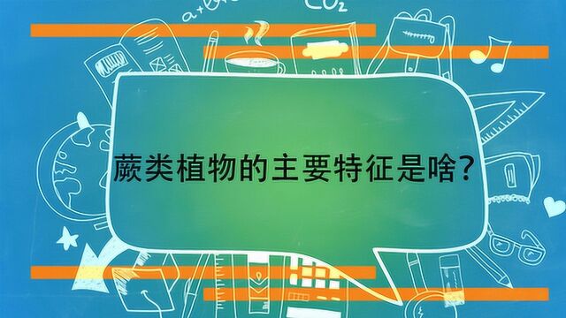 蕨类植物的主要特征是啥?