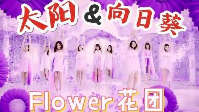 Flower 太阳与向日葵 MV 中日字幕 | 神迹字幕组