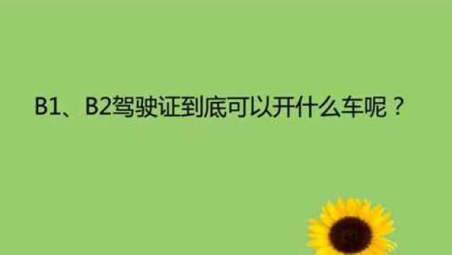 B1、B2驾驶证到底可以开什么车呢?