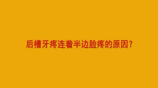 后槽牙疼连着半边脸疼的原因?