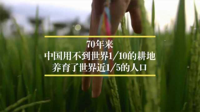 【数据可视化】近20年中国各地粮食产量排行:黑龙江霸榜,河南紧随