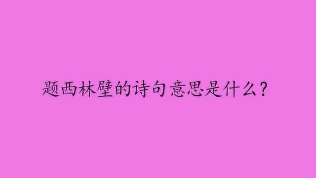 题西林壁的诗句意思是什么?