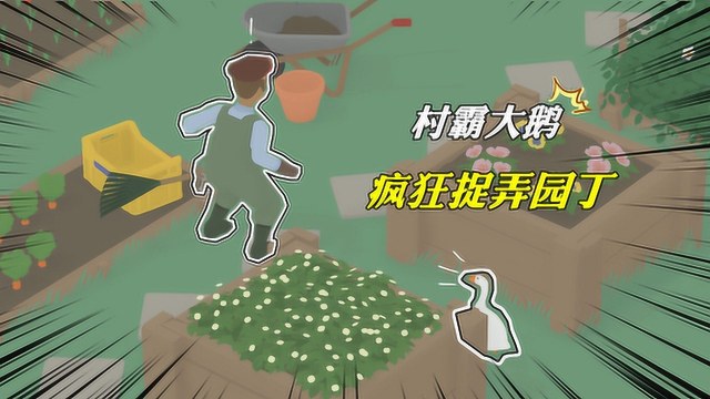 捣蛋鹅:村霸大鹅疯狂捉弄园丁,只因他的反应太喜感了,看一次笑一次