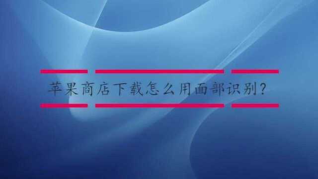 苹果商店下载怎么用面部识别?