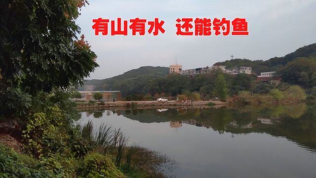 湖北黄石的大众山绿道 喜欢安静就来这逛逛 散步爬山还能钓鱼