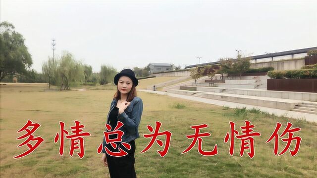 一曲《多情总为无情伤》歌曲旋律优美,超级好听,送给思念的你