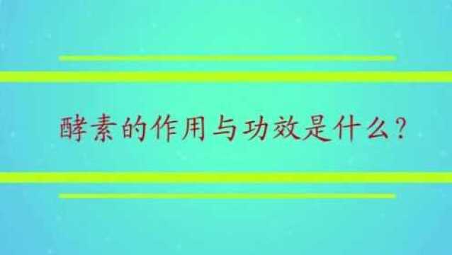 酵素的作用与功效是什么?