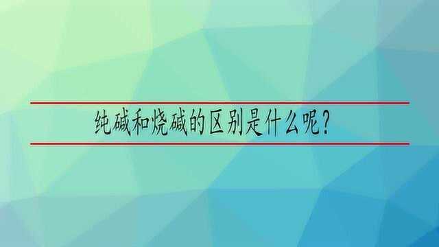 纯碱和烧碱的区别是什么呢?