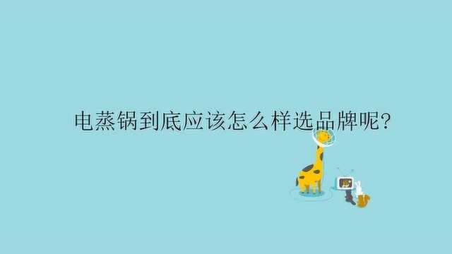 电蒸锅到底应该怎么样选品牌呢