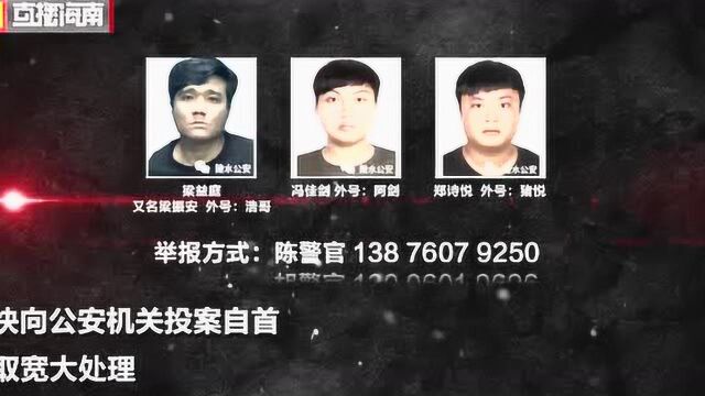 @所有人,快来举报这个犯罪团伙的违法犯罪线索,详情请戳→