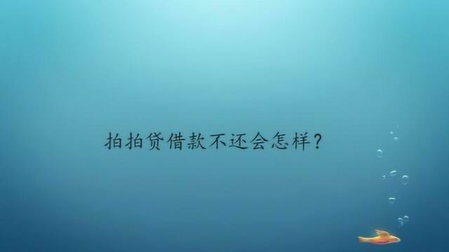 拍拍贷借款不还会怎样?