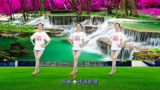 广场舞《山里红》经典老歌,节奏动感,优美大方好看