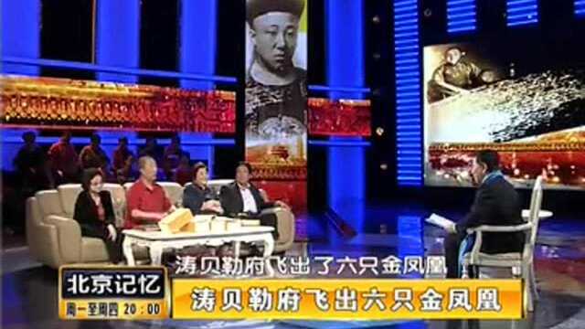 溥仪堂弟口述历史:涛贝勒府飞出六只金凤凰