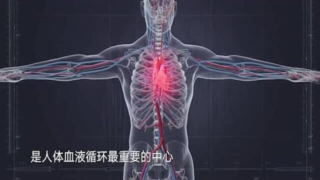 人间世:实拍心脏搭桥手术全程!精细程度超乎我们的想象