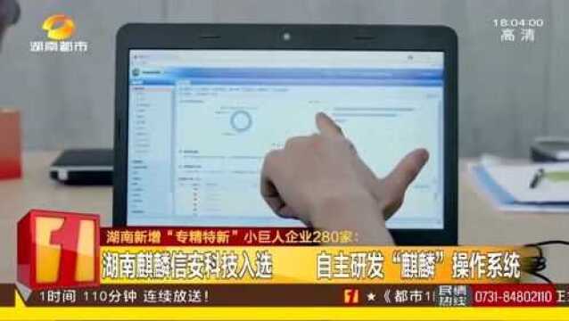 湖南“专精特新”小巨人企业280家 高新技术“唱主角” 收入过亿!