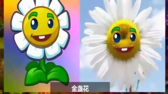 植物大战僵尸:魔音甜菜在现实中的形象