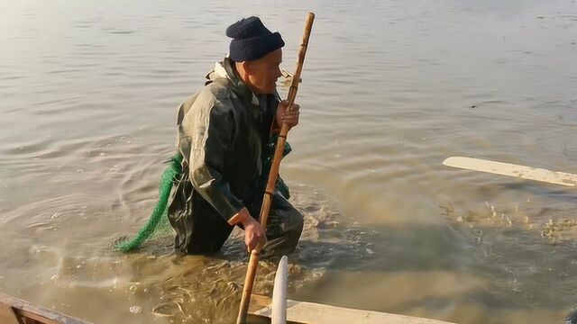 农村大爷和女婿在湖滩烂泥浑水摸鱼,一下午搞了几十斤野货