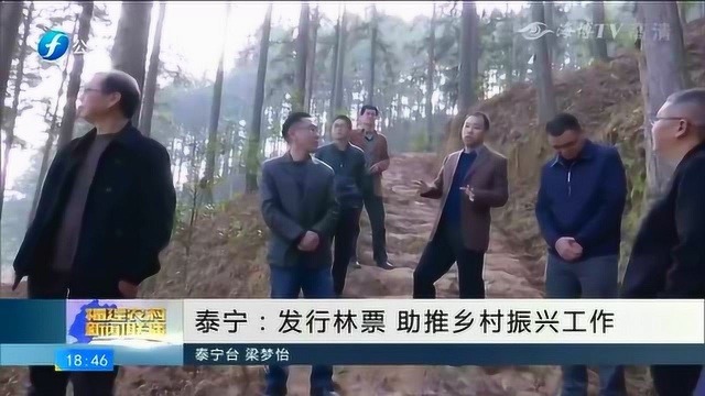 泰宁县“场村合作”签约暨林票首发仪式