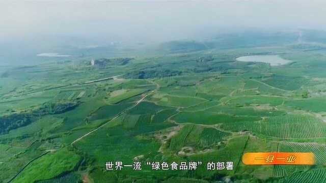 一县一业 | 石林县:积极打造石林人参果国际品牌