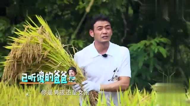 雨辰被妹妹气哭,杨硕竟逼着儿子露笑容,小甜椒可爱学习剥玉米