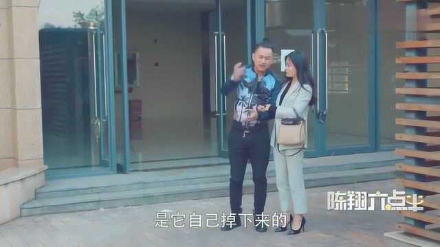 陈翔六点半:球球做梦,老公给别的狐狸精买包包!