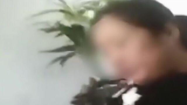 家政公司也有“特殊”服务?女保姆淡定笑称:怎么开心怎么来!