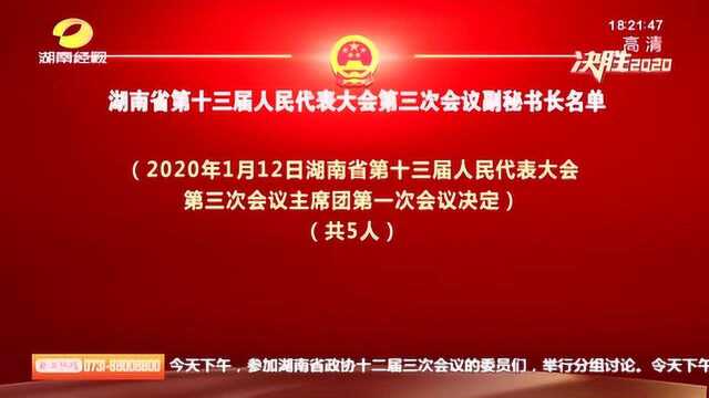 湖南省第十三届人民代表大会第三次会议副秘书长名单