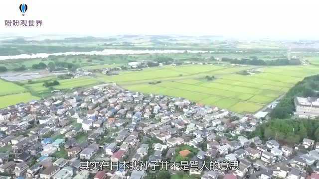 日本最奇葩的城市,名叫“我孙子市”,网友:确定不是骂人