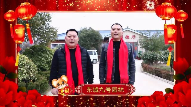 东城9号园林给您拜年啦!