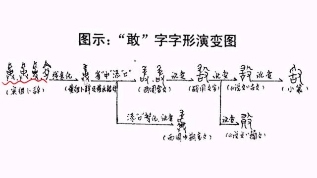 【国学新知】《说文解字》之“敢”(230)