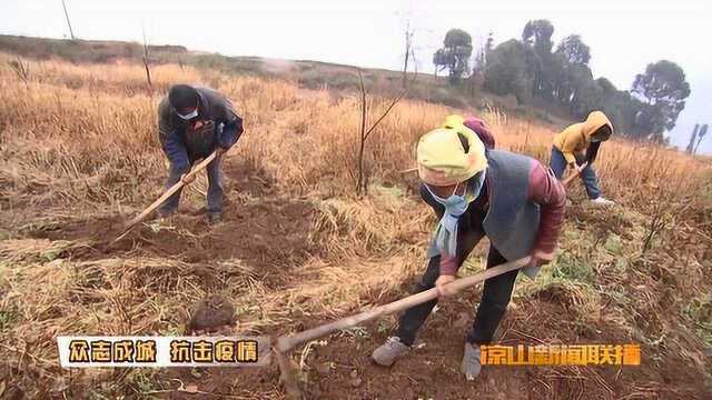 两场硬仗一起打奋力夺取“双胜利”