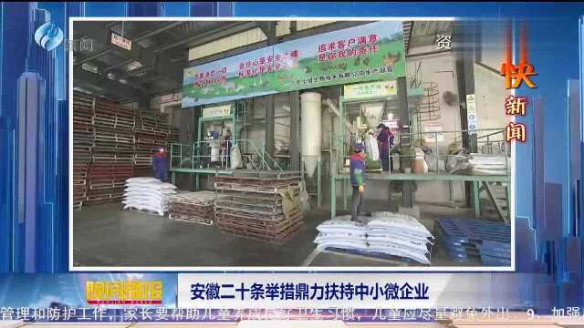 安徽二十条举措鼎力扶持中小微企业 支持中小微企业平稳健康发展