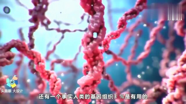 科学家最新理论:人类也许是外星人的实验品!活在电脑模拟世界中