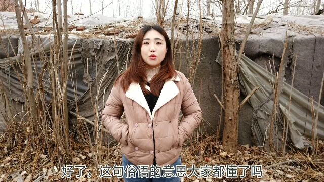 “小时娘亲妈好,长大堂客胯好”啥意思呢?无非是侧面说男女之事