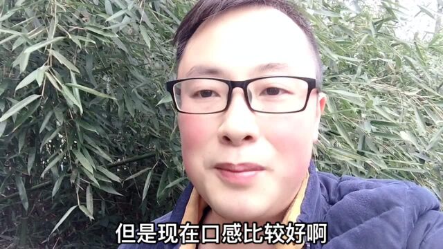 山上长满了嫩绿的蒿子,吃上一顿蒿子粑粑,总算感到一丝春意了