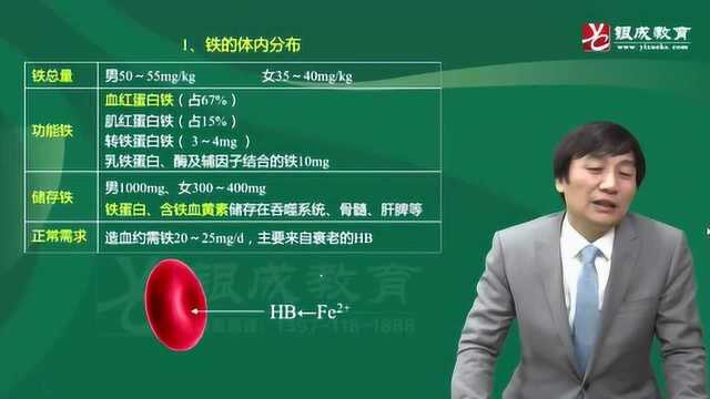 2020年临床执业医师考试视频课程:血液系统缺铁性贫血