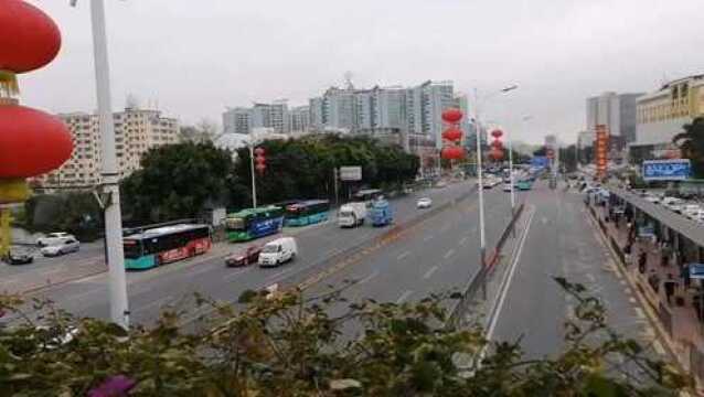 宅了二十多天没出门,这次去超市采购,给家里的冰箱补补货