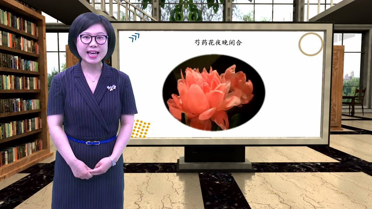 家长学堂《探索精神的培养》吴燕婷