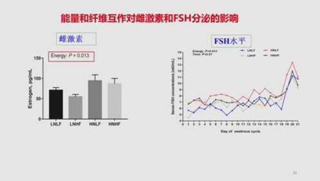 林燕:批次生产模式下的精准营养