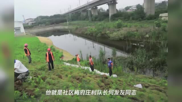 冲锋在前勇担当 防汛一线“闪光芒”